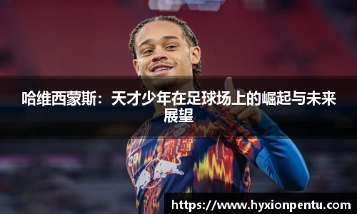 天博克罗地亚网页版入口
