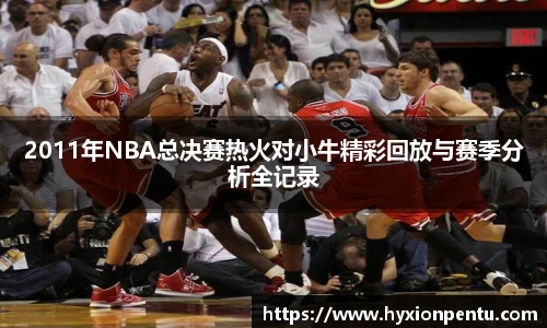 2011年NBA总决赛热火对小牛精彩回放与赛季分析全记录