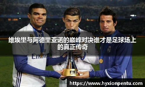 伟德bv国际体育